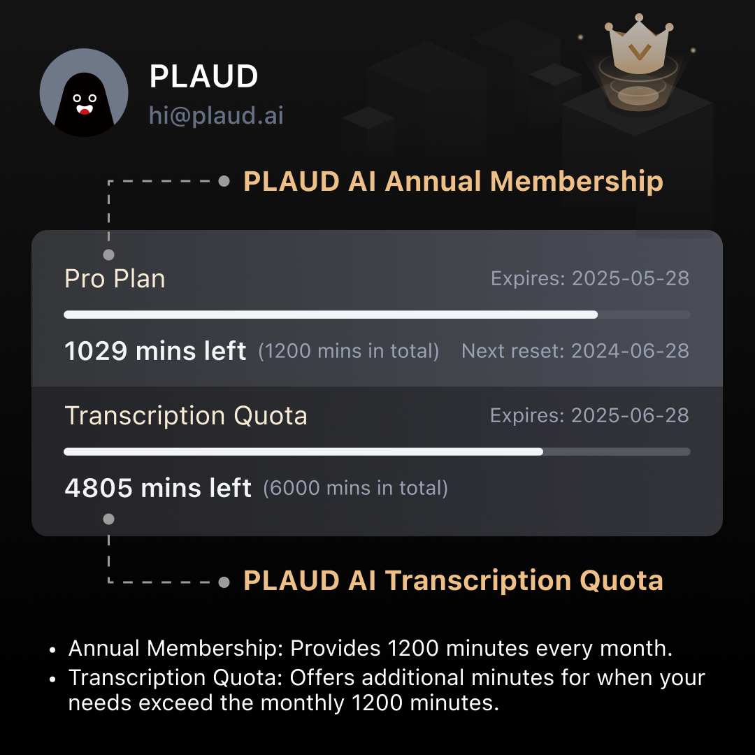 PLAUD AI Transcription Quota (6000mins)