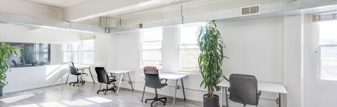 Bright, modern office space with white desks, black chairs, large windows, and potted plants, suggesting a productive environ