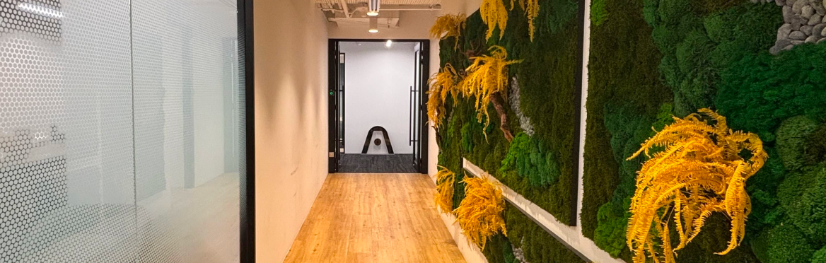 A modern office hallway featuring a vibrant green moss wall with yellow foliage, leading to a room with abstract art.